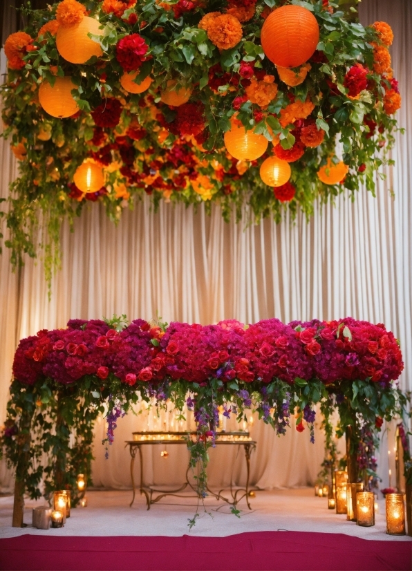 Flower, Plant, Rangpur, Orange, Lighting, Yellow