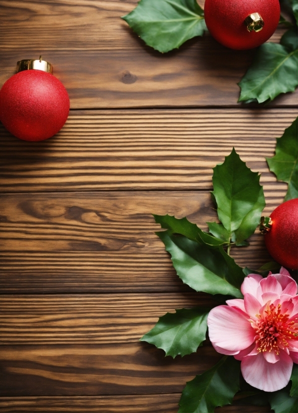 Flower, Leaf, Plant, Wood, Red, Natural Foods