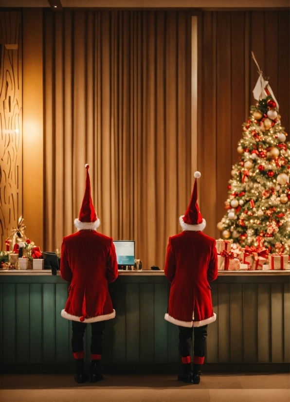 Christmas Tree, Lighting, Standing, Plant, Curtain, Red