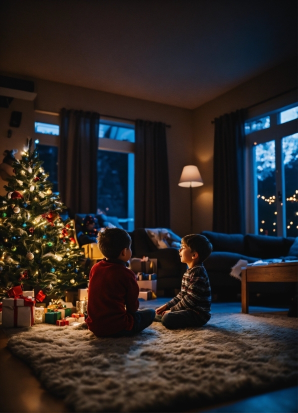 Christmas Tree, Window, Blue, Lighting, Plant, Christmas Ornament