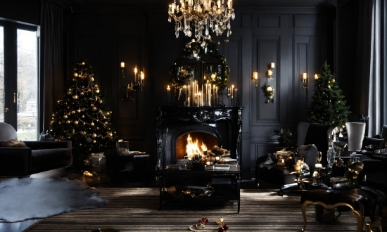 Plant, Lighting, Hearth, Christmas Tree, Window, Living Room