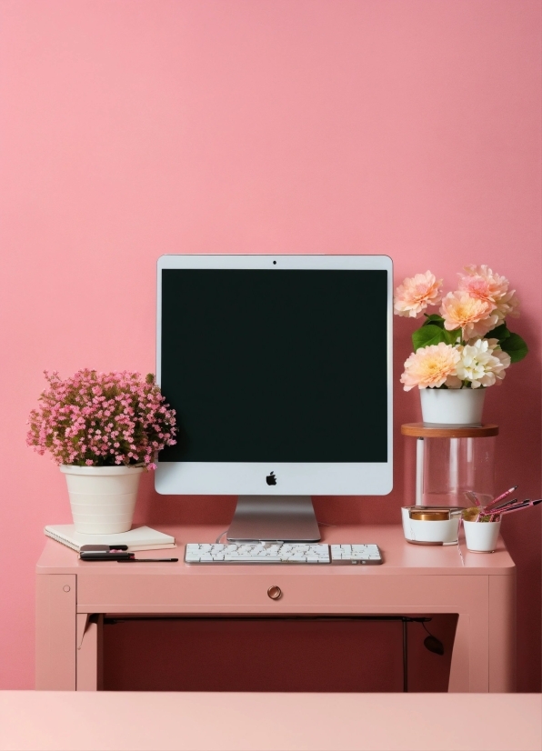 Flower, Plant, Furniture, Table, Vase, Couch