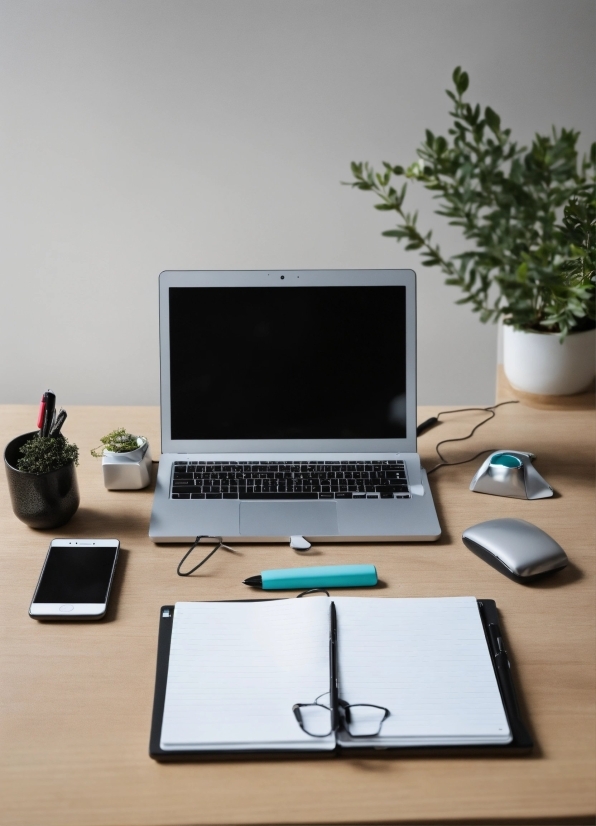 Computer, Personal Computer, Laptop, Plant, Table, Property