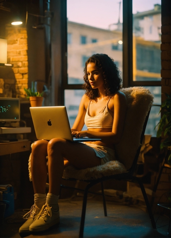 Computer, Laptop, Personal Computer, Sunlight, Plant, Comfort