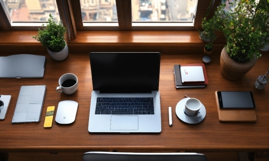 Table, Plant, Computer, Personal Computer, Furniture, Property