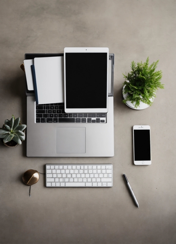 Computer, Furniture, Computer Keyboard, Personal Computer, Plant, Table