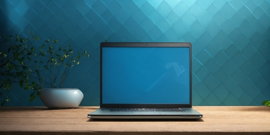 Computer, Personal Computer, Output Device, Blue, Laptop, Plant