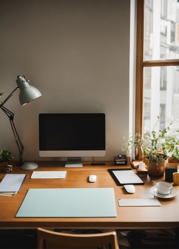 Plant, Table, Furniture, Building, Wood, Desk