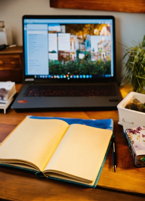 Computer, Personal Computer, Laptop, Plant, Flowerpot, Table