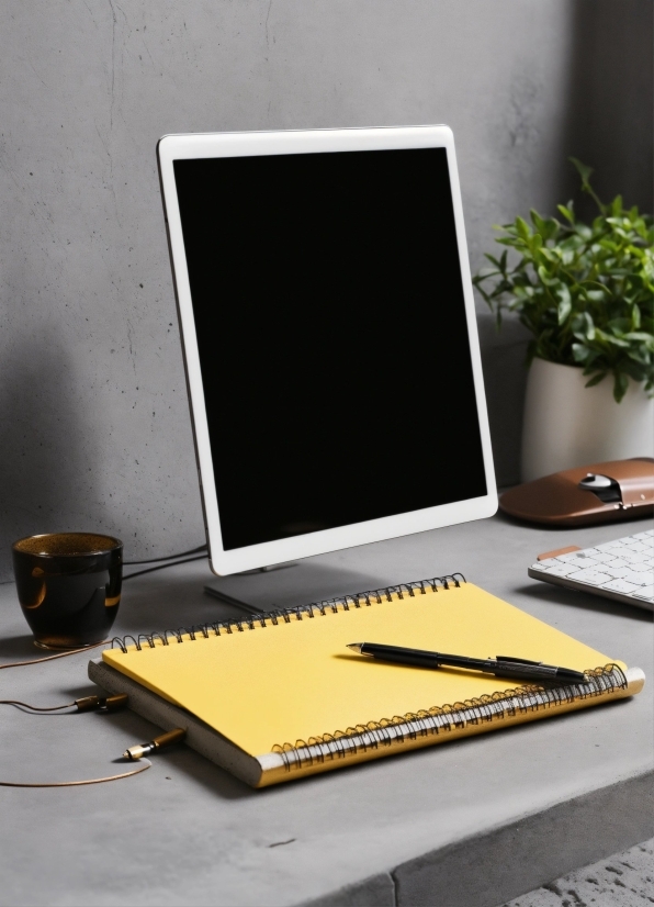 Computer, Personal Computer, Plant, Netbook, Laptop, Table