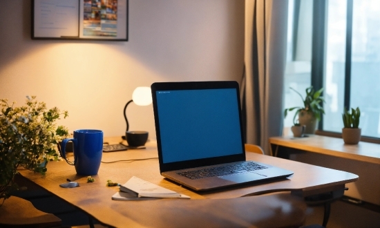 Table, Computer, Personal Computer, Plant, Furniture, Laptop