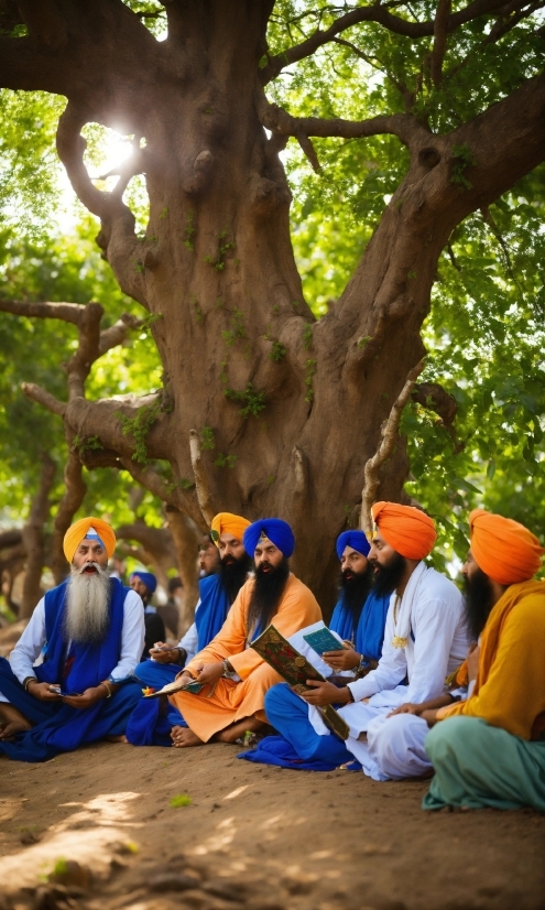 Nature, Botany, Tree, Temple, People In Nature, Biome