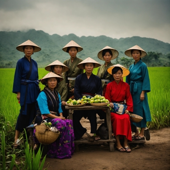 Sky, Plant, Hat, Green, People In Nature, Farmer