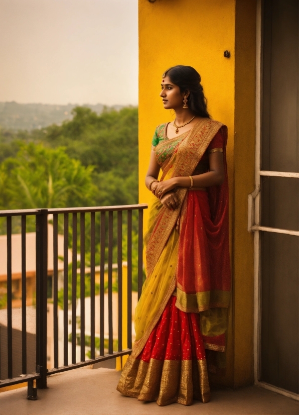 Sky, Sari, Tree, Fashion Design, Trunk, Fence