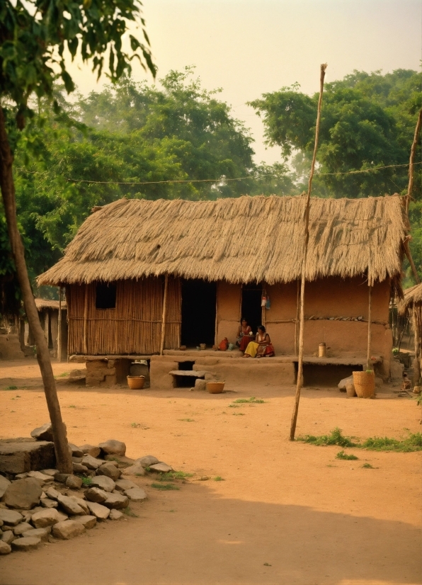 Property, Sky, Thatching, Plant, Building, Tree