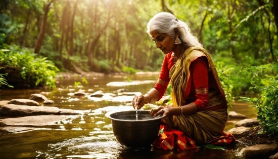 Water, Plant, People In Nature, Tree, Terrestrial Plant, Adaptation