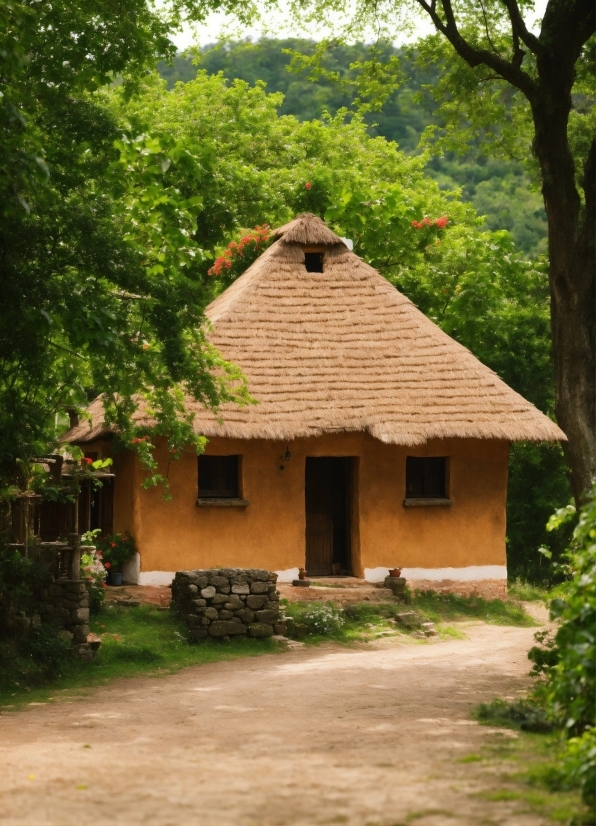 Plant, Building, Window, Tree, Wood, Cottage