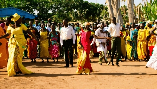 Tree, Adaptation, Sari, Event, Plant, Tradition