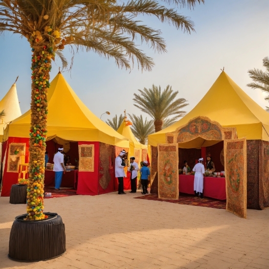 Sky, Plant, Tree, Tent, Shade, Arecales