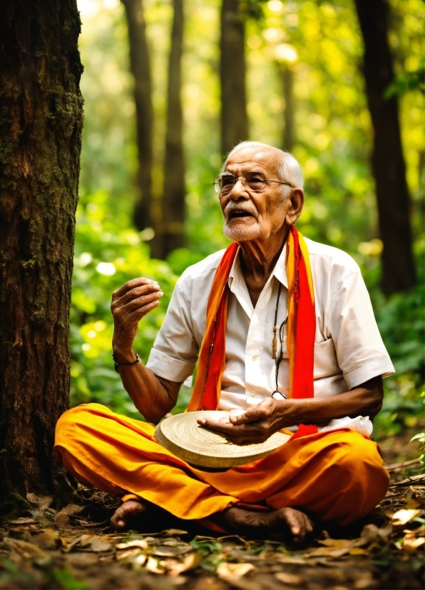 People In Nature, Plant, Botany, Temple, Tree, Wood