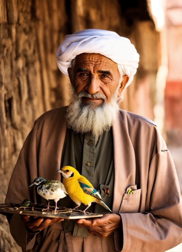 Eye, Bird, Beard, Beak, Facial Hair, Moustache