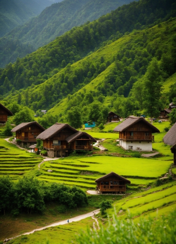 Mountain, Plant, Green, Natural Landscape, Highland, Tree