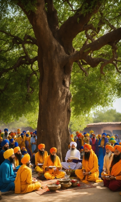 Clothing, Tree, Leisure, Monk, Pilgrimage, Crowd