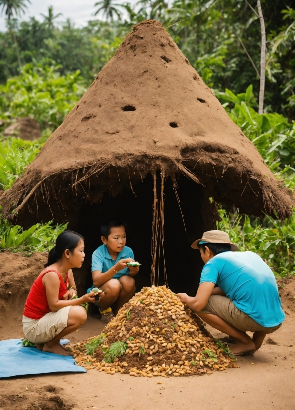 Plant, Thatching, Green, Terrestrial Plant, Tree, Adaptation