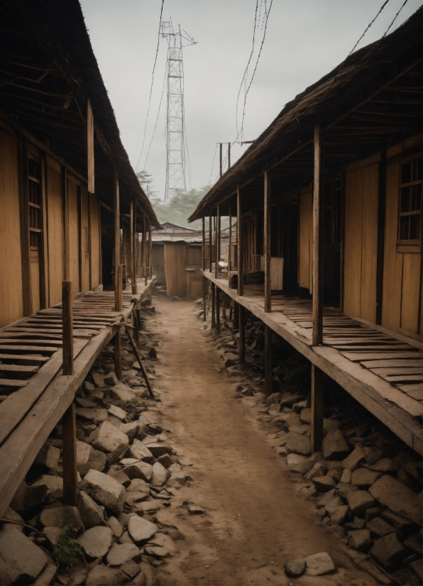 Sky, Wood, Neighbourhood, Rural Area, Building, City