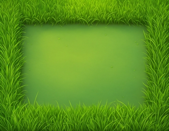 Plant, Green, Rectangle, Natural Landscape, Terrestrial Plant, Grass