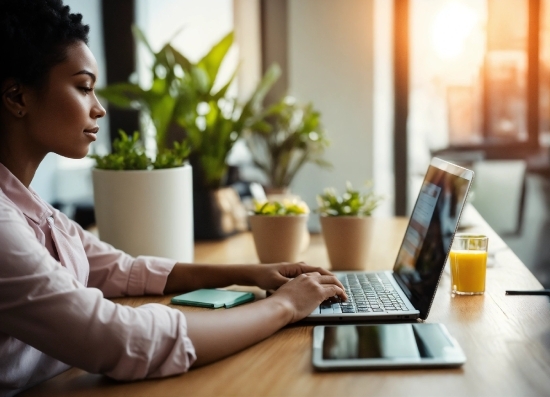 Computer, Table, Personal Computer, Laptop, Furniture, Plant