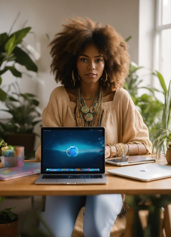 Computer, Table, Plant, Furniture, Personal Computer, Laptop