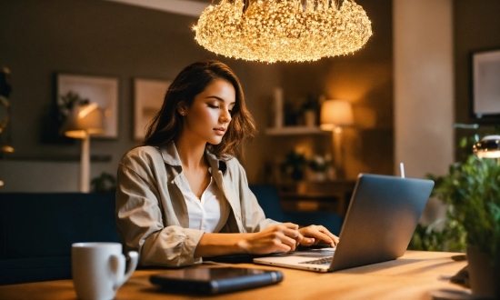 Plant, Laptop, Personal Computer, Computer, Table, Netbook