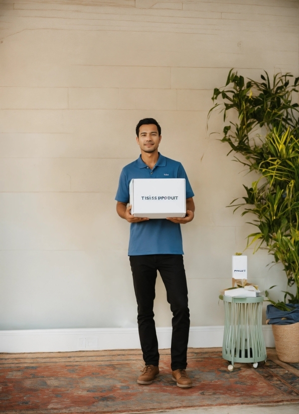 Plant, Sleeve, Standing, Smile, Flowerpot, Flooring