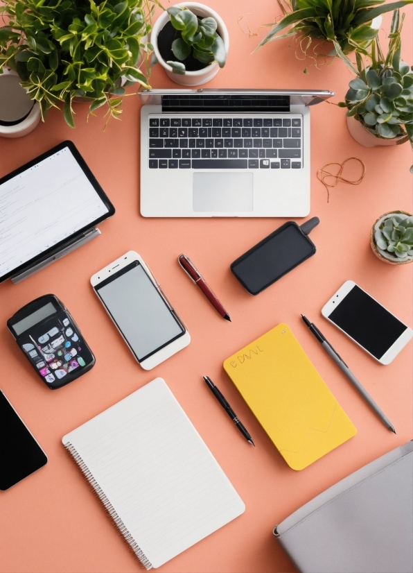 Plant, Rectangle, Houseplant, Office Equipment, Table, Computer