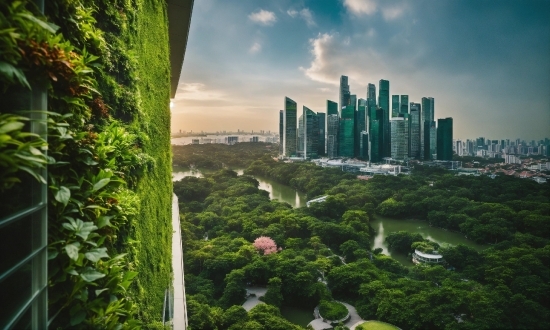 Cloud, Sky, Building, Plant, Skyscraper, World