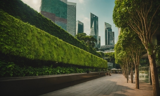 Building, Sky, Plant, Skyscraper, Cloud, Green