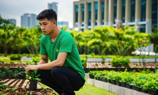 Plant, Green, Building, Grass, People In Nature, Happy