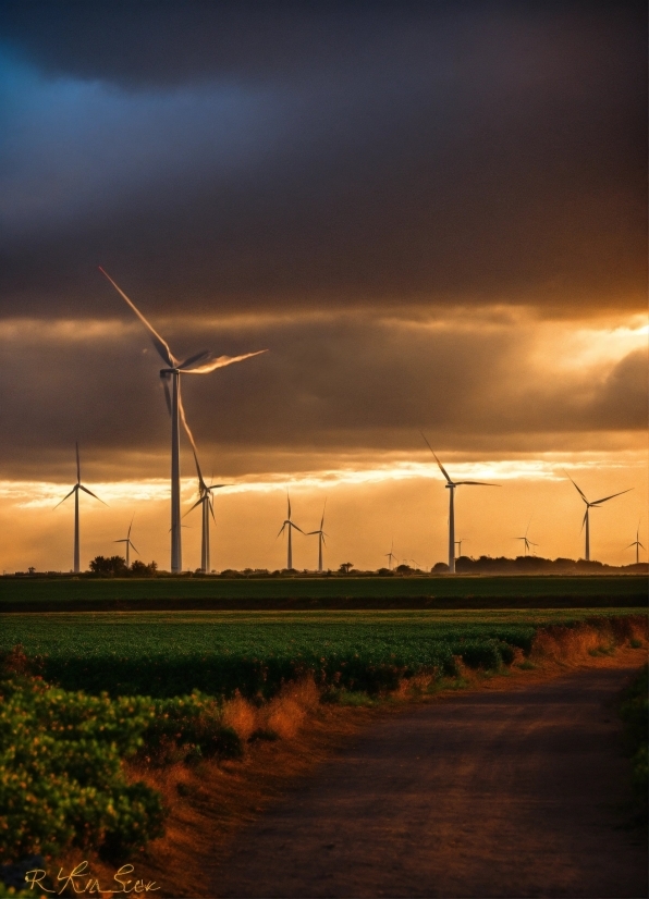 Cloud, Sky, Plant, Atmosphere, Windmill, Ecoregion