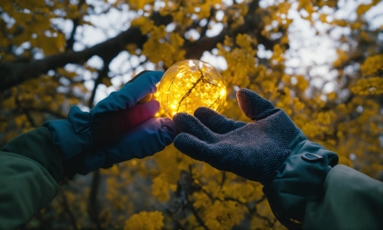 Hand, People In Nature, Water, Branch, Sky, Wood