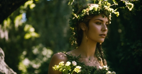 Flower, Plant, People In Nature, Botany, Flash Photography, Happy