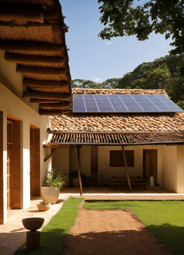 Sky, Plant, Building, Shade, Wood, Architecture