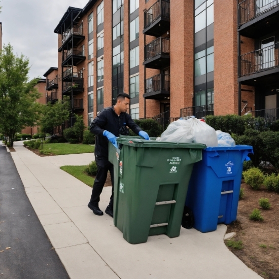 Building, Waste Containment, Waste Container, Plant, Window, Asphalt