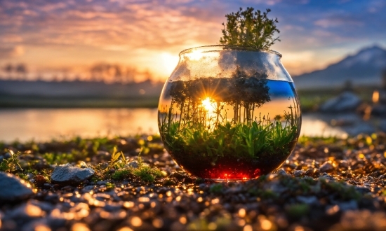 Cloud, Water, Sky, Plant, Stemware, Drinkware