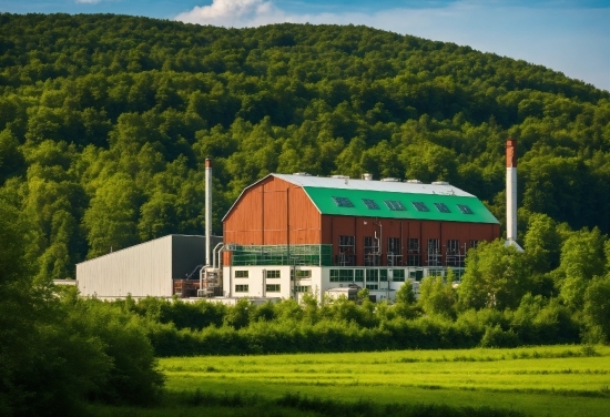 Plant, Cloud, Sky, Building, Natural Landscape, House