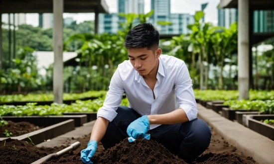 Plant, People In Nature, Dress Shirt, Sleeve, Grass, Happy