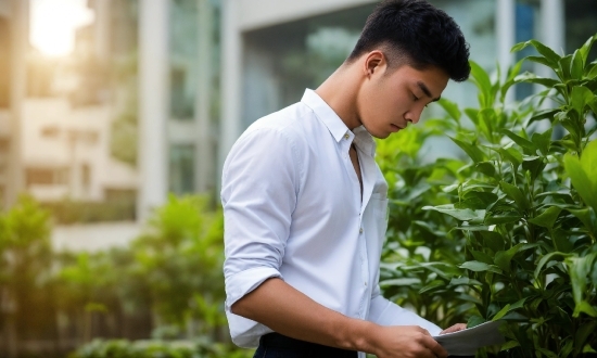 Plant, Dress Shirt, Sleeve, Collar, Grass, Eyewear