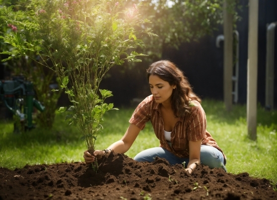 Plant, People In Nature, Nature, Leaf, Flash Photography, Botany