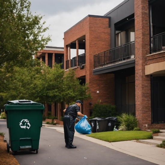 Plant, Building, Window, Sky, Waste Container, Waste Containment