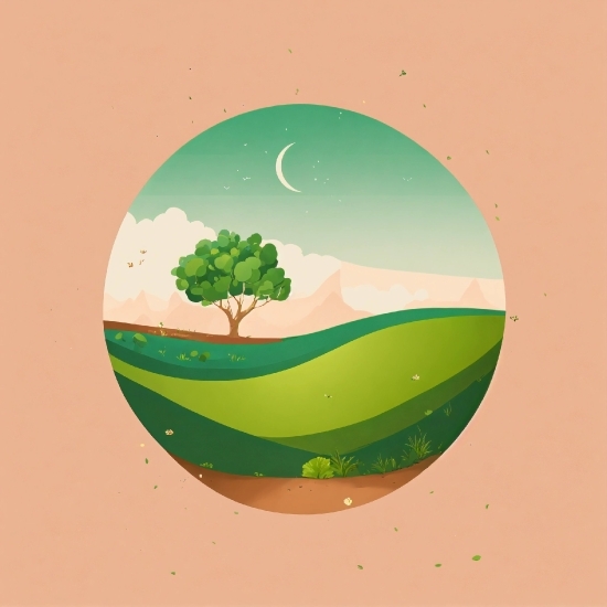 Plant, Tree, Art, Font, Grass, Circle